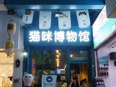 -猫咪博物馆(顶澳仔猫街店)