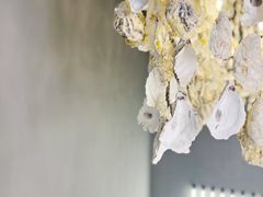 -蚝美人·生蚝海鲜烧烤(茶花园店)