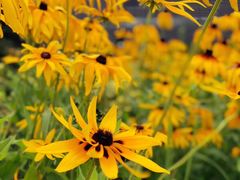 -上海滴水湖皇冠假日酒店