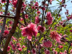 -水濂山森林公园