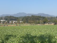 -韶山毛泽东同志故居