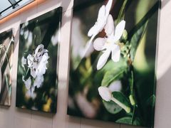 -奈雪的茶(赛格店)