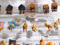 -柴务处·柴犬主题狗咖