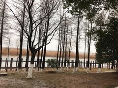 -太湖湖滨国家湿地公园-停车场