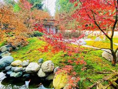 -三圣花乡旅游区