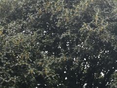 -井冈山风景名胜区