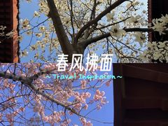 -堤角公园