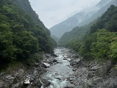 -黑河国家森林公园