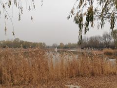 -永定河休闲森林公园