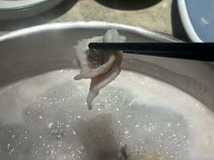 -淘米捞·米汤脆鲩鱼火锅(福田皇岗店)