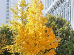 -钱掌柜·回家吃饭(建设三路华美达店)