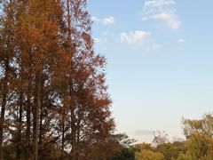 -上海交通大学(闵行校区)