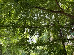 -马王庙刀削面馆(四川省交通学院宿舍店)