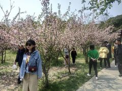 -昆山城市生态森林公园