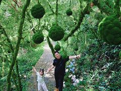-龙湾潭国家森林公园