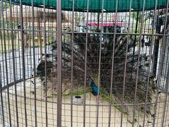 -珠海海泉湾神秘岛亲子乐园