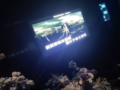 -黑桃K生日订制KTV