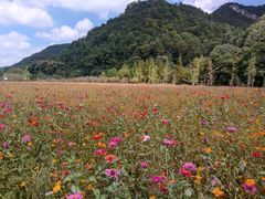 -贵阳市花溪国家城市湿地公园