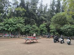 -南宁良凤江国家森林公园