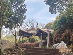 -潜山国家森林公园