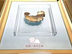 -安阳博物馆