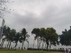 -深圳湾公园(南山区)