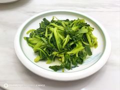 -小小饭店·休闲农庄·安吉松树林里的农家菜