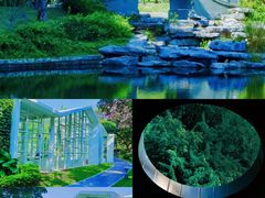 -四海公园(南山区)