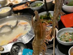 -打酱友•斑鱼海鲜粥火锅(吴桥店)