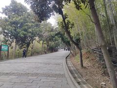 -圌山
