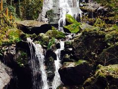 -藏龙百瀑风景区