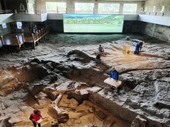 -自贡恐龙博物馆