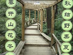 -大岭沟猕猴桃谷风景区