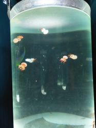 -酷嗒动物文化乐园(cutezoo西溪乐天城店)