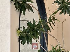-Jamaicablue Coffeeshop(中央广场店)