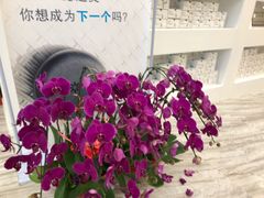 -固瑞齿科(国贸门诊店)