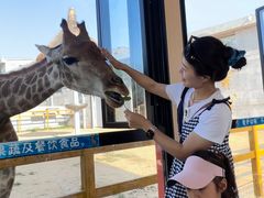 -西霞口神雕山野生动物世界