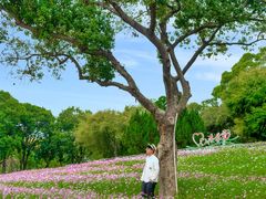 -东莞植物园