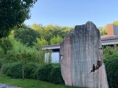 -唐城墙遗址公园