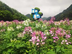 -广州市石门国家森林公园