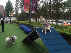 -钢管厂五区小郡肝串串香(奥克斯广场锦城万达店)