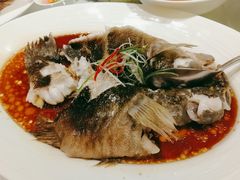 广式蒸笋壳鱼-洋洋中餐馆·SINCE 1997(信投店)