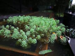大堂-箱美术馆私房菜(水晶郦城店)