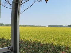 -嘉北郊野公园