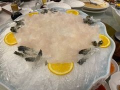 -新君悦国际酒店