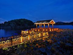 -上海市保健医疗中心