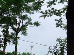 -草根堂农场