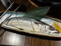 -道乐烧肉酒馆