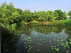 -尚贤河湿地