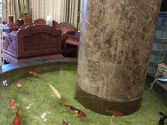 -古莲·影院足道·按摩SPA(水上温泉店)
